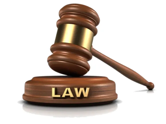 NHỮNG VĂN BẢN PHÁP LUẬT ĐƯỢC BAN HÀNH TỪ NGÀY 01/01/2026 ĐẾN NGÀY 31/01/2026